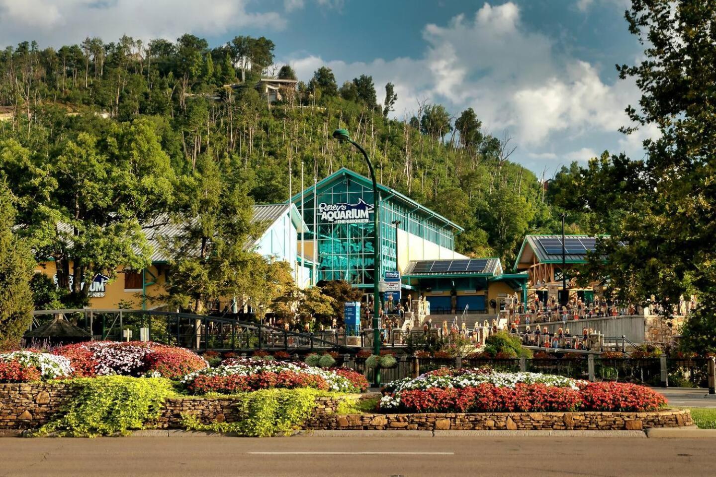 Views I Mins To Dollywood I Hot Tub I Pool Table Villa Sevierville Buitenkant foto